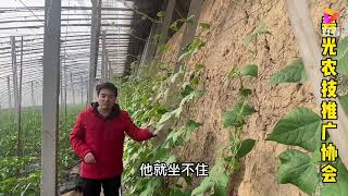 豆类落花落果是什么原因，应该如何防治？没套路，看完就学会