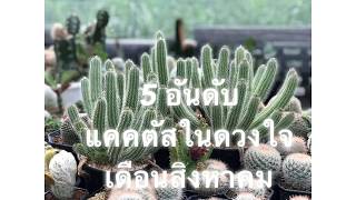 5 อันดับ แคคตัสในดวงใจปลา ประจำเดือนสิงหาคมจ้า    | PB CACTUS Channel