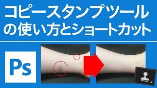 Photoshop 無料講座 コピースタンプツールの使い方とショートカット