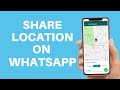 How to Share Location on WhatsApp From Google Maps! (Quick & Easy)