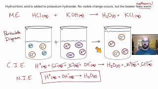 Representations of Reactions - Particulate Diagrams and Net Ionic Equations