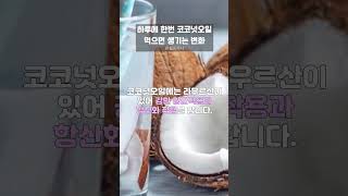 바르고 먹고 기적의 오일 코코넛오일 매일 한스푼씩 먹으면 좋은점 #코코넛오일효능 #코코넛오일효과 #코코넛오일먹는법