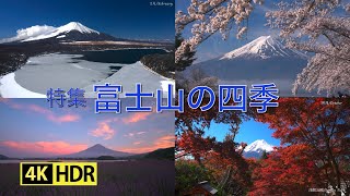 2024 富士山の四季「2022 -2024」(4K-HDR) Four Seasons Of Mt. Fuji (UHD-HDR)