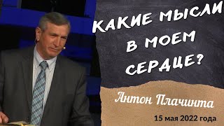 Какие мысли в моем сердце? - проповедует Антон Плачинта