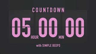5 Hour Countdown Timer โณ Flip Clock with Simple Beeps ๐๐ค