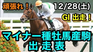 12/28(土)出走のマイナー種牡馬産駒を紹介！