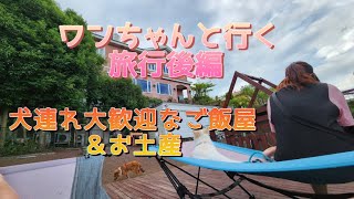 【愛犬と旅行】伊豆高原後編　前編観てない方は前編から観てみてね🐶　２日目もワンコと行けるオススメな所‼️