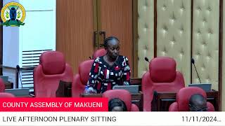 BUNGE LIVE: 11/11/2024 AFTERNOON PLENARY SITTING