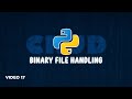 Mastering Binary File Handling in Python: A Complete Tutorial