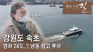 영하 24도, 냉동 창고 투어 / 속초 청초호 / 속초여행 / 테마기행 길 / MBC강원영동 220401