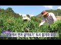 2024. 8. 28 원주mbc 영월에서 먼저 살아보기 도시 참가자 모집