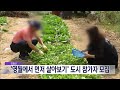 2024. 8. 28 원주mbc 영월에서 먼저 살아보기 도시 참가자 모집