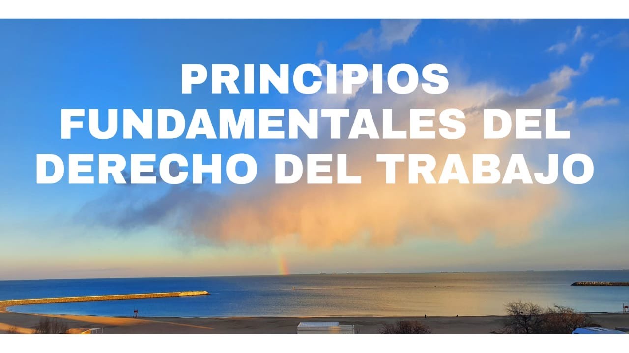 Principios Fundamentales Del Derecho Del Trabajo - YouTube