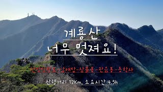 계룡산에 오르다!