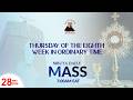 THURSDAY OF THE EIGHTH WEEK IN ORDINARY TIME  || Daily TV Mass,  28th May, 2026