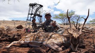 Manele Buck | Lanai, Hawaii Archery Hunt