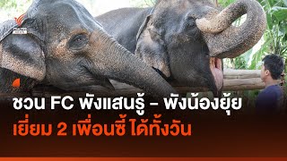 ชวนแฟนคลับ พังแสนรู้ - พังน้องยุ้ย เยี่ยม 2 เพื่อนซี้ได้ทั้งวัน I Thai PBS news