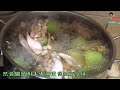 小小豬湯水篇 日月魚節瓜淮山合桃湯