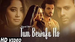 Tum Bewafa Ho Full Song | Payal Dev,Stebin Ben,Kunaal V Ft.Arjun B,Nia S,Navjit Buttar | DRJ Records