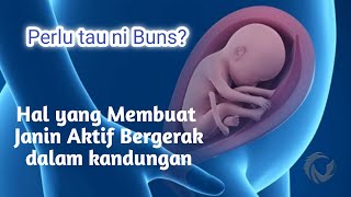 JANIN AKTIF BERGERAK USIA 5 BULAN