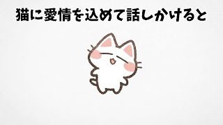 猫好きでも98%の人が知らない猫に関する面白い雑学