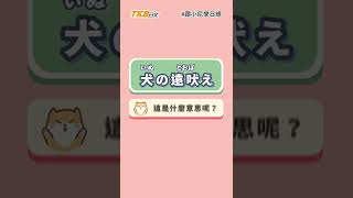 和「犬」相關的日文慣用語【犬猿の仲】【犬の遠吠え】是什麼意思？跟小尼學日語#6｜日文學習｜TKB日文｜#shorts