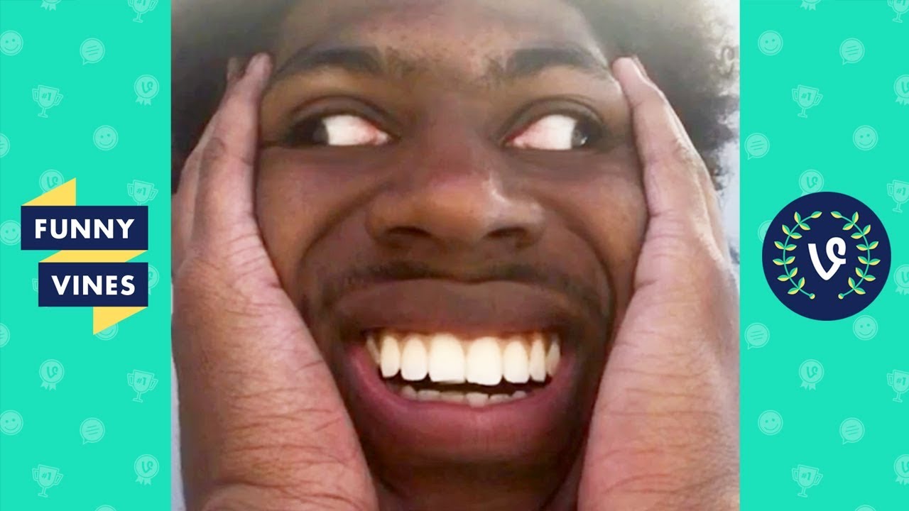 Funniest Best Vines Vine Fast Company