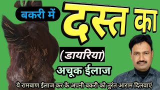 bakri ke dast ka ilaj बकरी के दस्त रोकने के उपाय  bakri ke loose motion ka ilaj / dast  gharelu upay