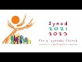 Pax Christi and the Synod on Synodality