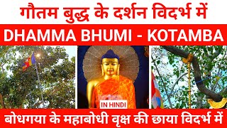 बुद्ध के दर्शन हुए विदर्भ में | Buddha Gaya Tour | Dhamma Bhumi - Part 2  - Ashwin Ganvir