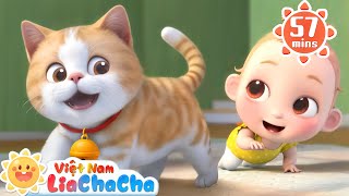 👶🏻 Em bé tí hon 🧸 Em bé không nên trèo cao | LiaChaCha - Ca Nhạc Thiếu Nhi Việt Nam