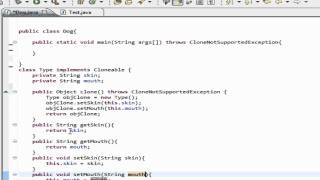 Java jdk 7 tutorial 19 clone method
