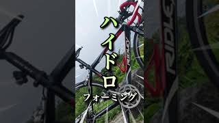 【RIDLEY】他人の愛車を語ってみた #shorts #ロードバイク #愛車紹介