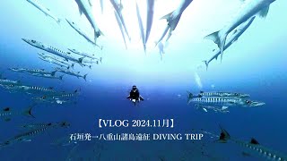 【VLOG】2024年11月　石垣島発 → 八重山諸島遠征ダイビング　 野原曽根・ヨナラ水道　ギンガメ・バラクーダ・マンタ狙いのオールドリフトDIVING　西表島　小浜島