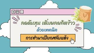 ลดต้นทุน เพิ่มผลผลิต ด้วยการทำนาแบบเปียกสลับแห้ง