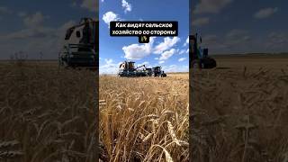 Сільське господарство так як є… МОЛОДИЙ фермер #agro #agriculture #shorts