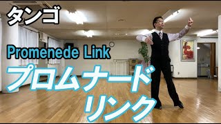 タンゴ：プロムナードリンク　社交ダンスと競技ダンス【前掛けTV】Promenede Link