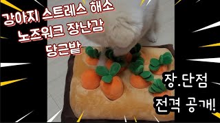 [잇템 당근밭] 강아지 스트레스해서 노즈워크 장난감 장점,단점 전격 공개!!