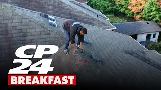 Roof Rejuvenation with Rooflife