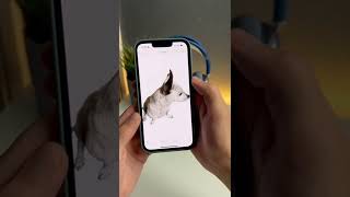 IOS 16 New Feature| Iphone*