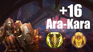 +16 Ara-kara no comms semipug - Lightsmith Prot Paladin PoV