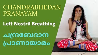 Chandrabhedana Pranayam / ചന്ദ്രബേദാന പ്രാണായാമം / Left Nostril Breathing