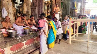 Prasadam Distribution 17.6.23 Aani Thirumanjana Festival Arranged By Deekshithars