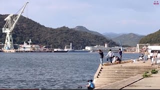 【釣りポイント】 兵庫県 相生 野瀬埠頭　サビキ釣り（イワシ・アジ・サヨリ）セイゴ・チヌ