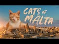 Cats of Malta Movie European Trailer 2023  | Nexus Production Group