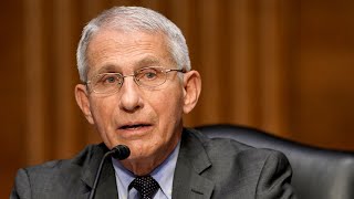 LIVE: Fauci Testifies Before House Select Subcommittee on Coronavirus Pandemic