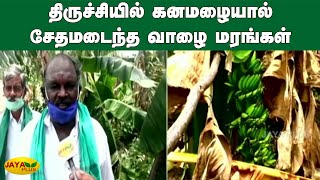 திருச்சியில் கனமழையால் சேதமடைந்த வாழை மரங்கள் | Trichy | Banana Agriculture | Rainy Season