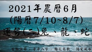 【古柏論命】2021年農曆6月(陽曆7/10 ~ 8/7)生肖八字流月運勢分享 (二) 兔、龍、蛇