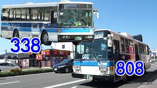 きょうのバス。338・808乗り。k257