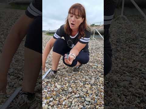 How do you record sediment size?